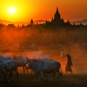 Ivo_Oreshkov Ivo_Oreshkov