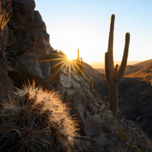 new_nikkor_z_12022020_12