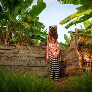 new_nikkor_z_12022020_14