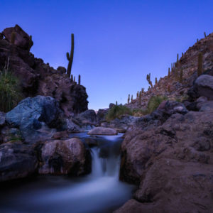 new_nikkor_z_12022020_15