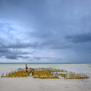 new_nikkor_z_12022020_16