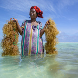 new_nikkor_z_12022020_5