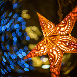 petzval_55_mark_II_12