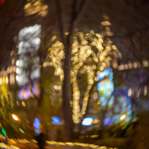 petzval_55_mark_II_13