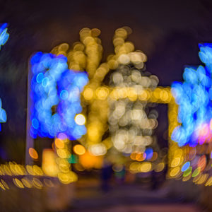 petzval_55_mark_II_14