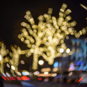 petzval_55_mark_II_16