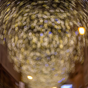 petzval_55_mark_II_31