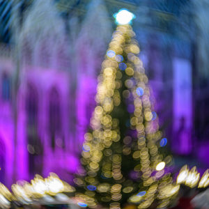 petzval_55_mark_II_40