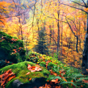 Ivo_Oreshkov Ivo_Oreshkov