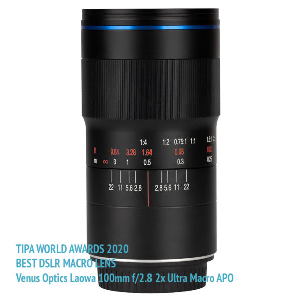 TIPA_2020_28