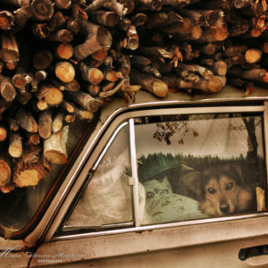 _01_The warmth keeper