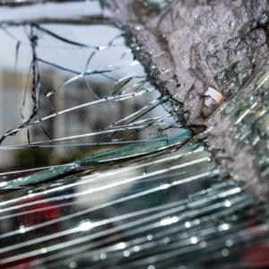 Canon_RF_35_Macro_16