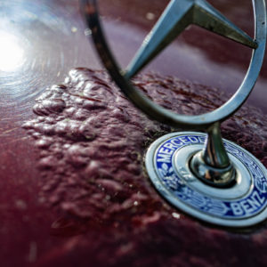 Canon_RF_35_Macro_19