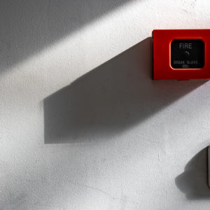 Canon_RF_35_Macro_20