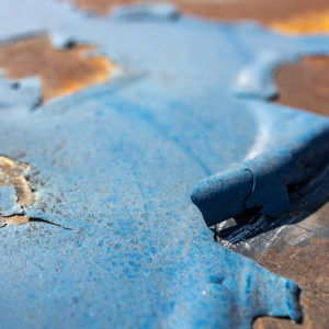 Canon_RF_35_Macro_21