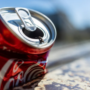 Canon_RF_35_Macro_27