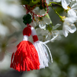 Canon_RF_35_Macro_28