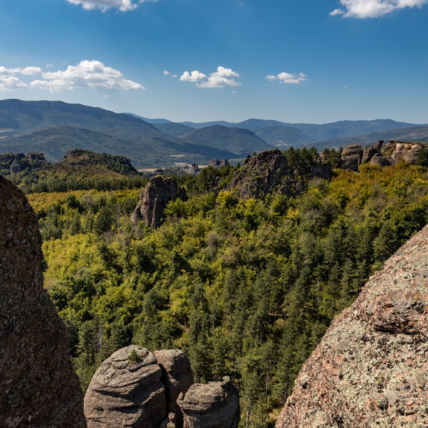 Canon_RF_15-35_32