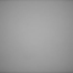 Canon_RF_85_Vignet_1.2