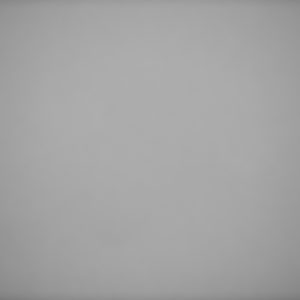 Canon_RF_85_Vignet_1.4