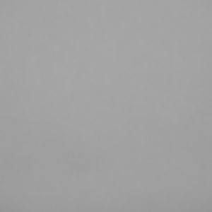 Canon_RF_85_Vignet_2