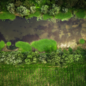 NIkolay_Naumov (10 of 36)