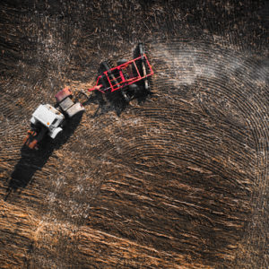 NIkolay_Naumov (17 of 36)