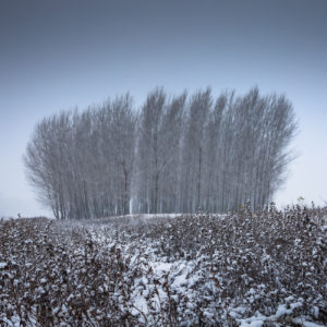 NIkolay_Naumov (22 of 36)