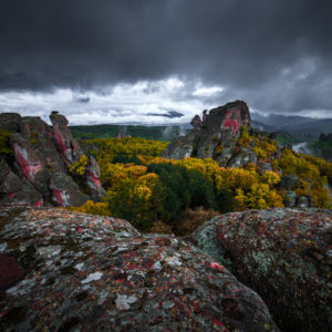 NIkolay_Naumov (27 of 36)