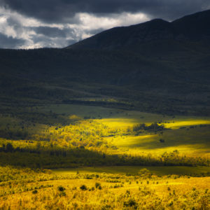 NIkolay_Naumov (29 of 36)