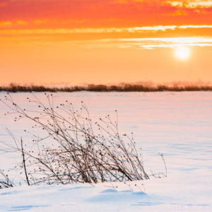 NIkolay_Naumov (3 of 36)