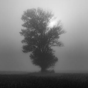 NIkolay_Naumov (34 of 36)