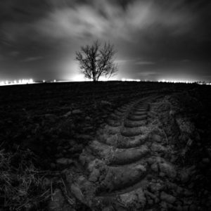 NIkolay_Naumov (4 of 36)