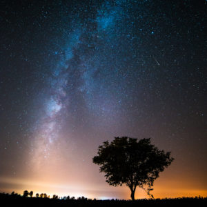 NIkolay_Naumov (7 of 36)