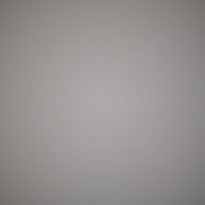 Nikkor_85_S_Vignet_1.8