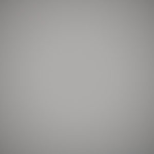 Nikkor_85_S_Vignet_2