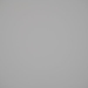 Nikkor_85_S_Vignet_2.8