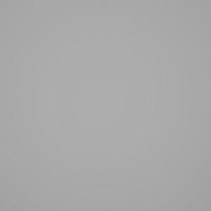 Nikkor_85_S_Vignet_4