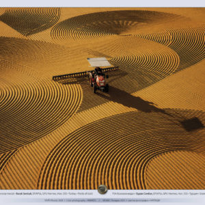 POTV_slideshow_14_012