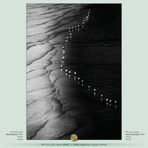 POTV_slideshow_17_014