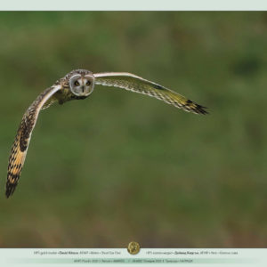 POTV_slideshow_18_015