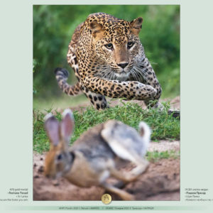 POTV_slideshow_19_016