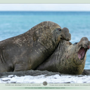 POTV_slideshow_20_017