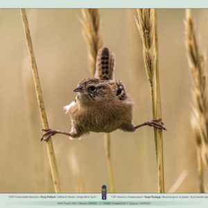 POTV_slideshow_21_018