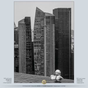 POTV_slideshow_37_031