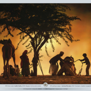 POTV_slideshow_40_034