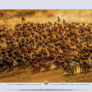 POTV_slideshow_9_007