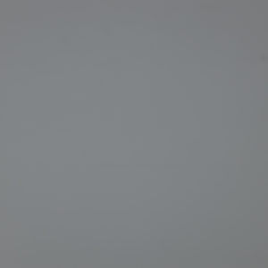 Canon_RF_85_Macro_Vignet_11