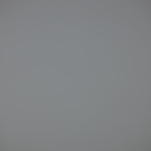 Canon_RF_85_Macro_Vignet_2.8