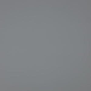 Canon_RF_85_Macro_Vignet_4